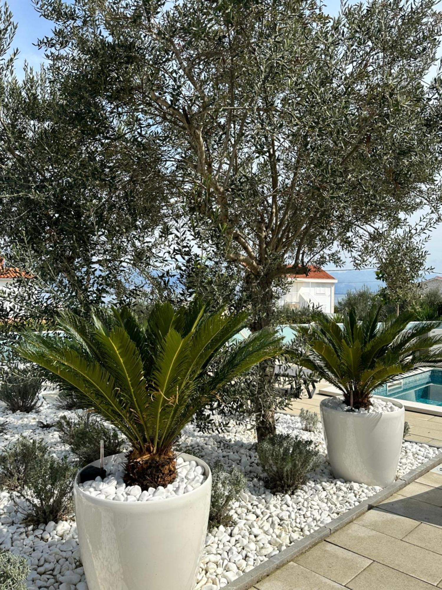 Apartments Marina Trogir Zewnętrze zdjęcie