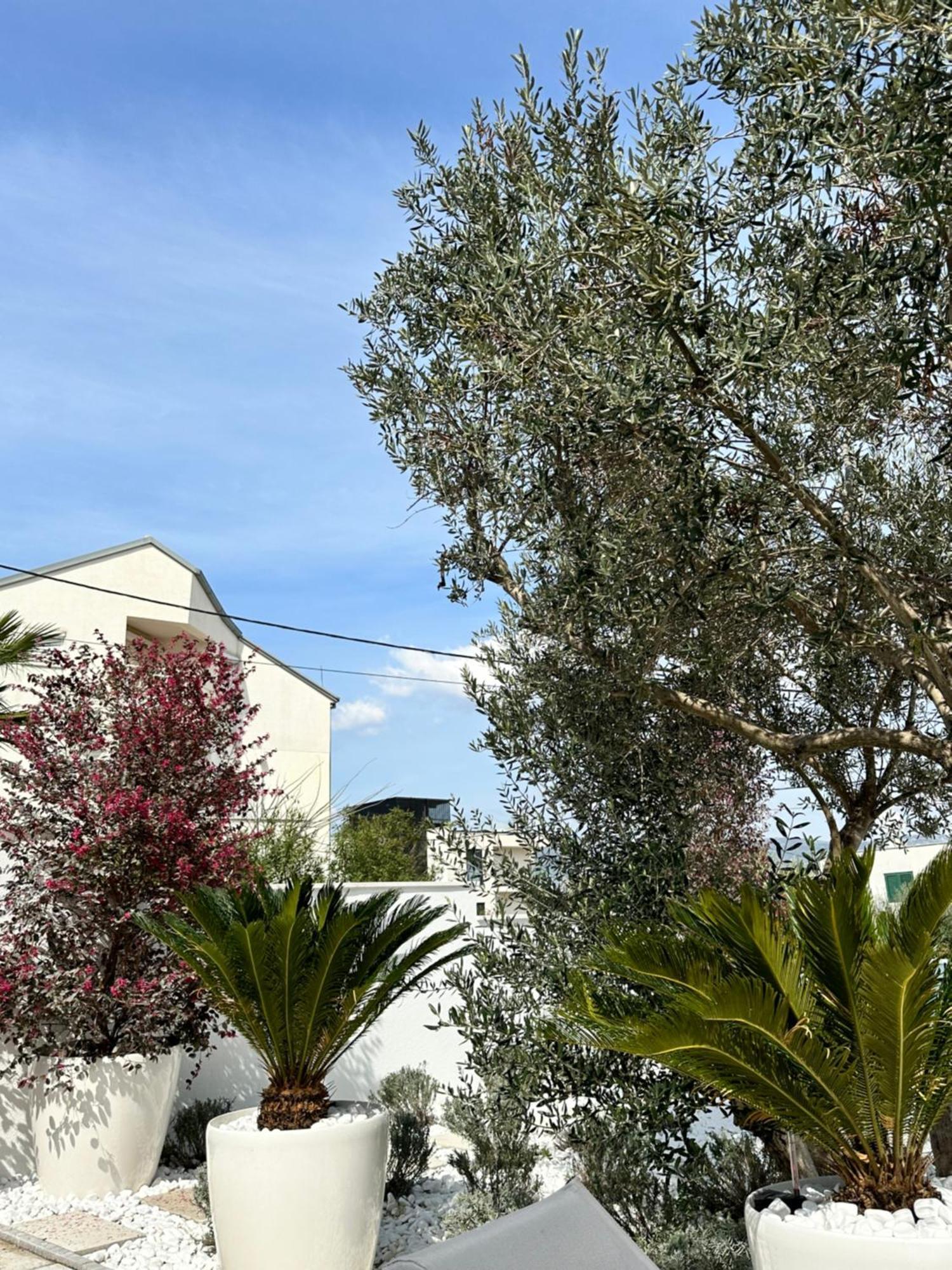 Apartments Marina Trogir Zewnętrze zdjęcie